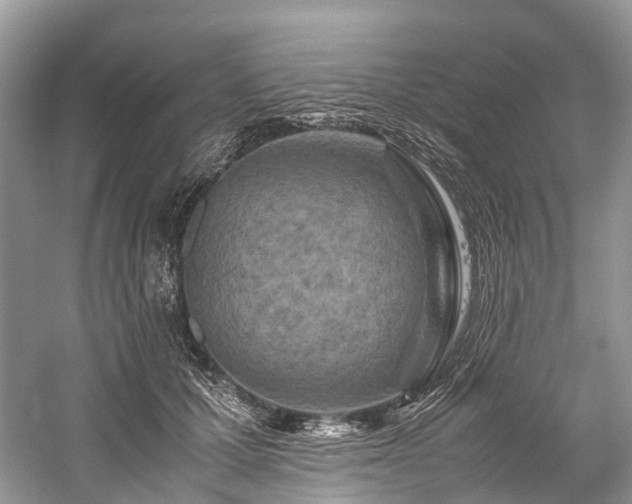 X0000059830607200510211215