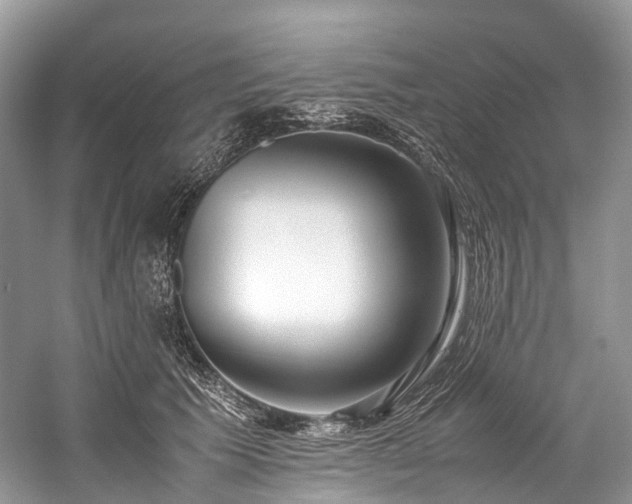 X0000059830609200510211215