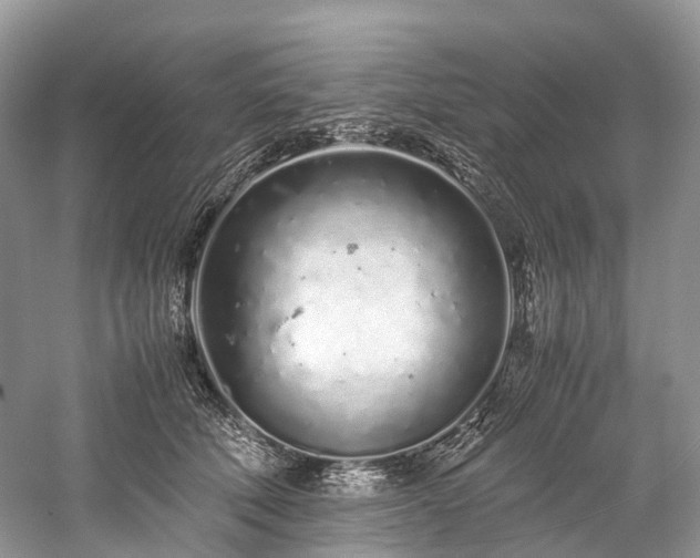 X0000059830610200510211215