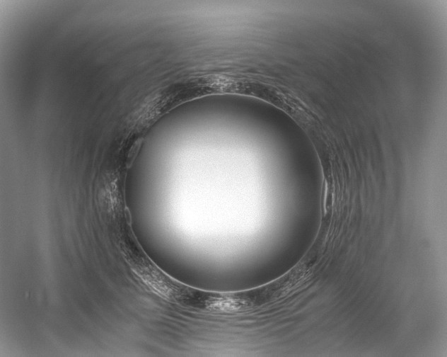 X0000059830611200510211215