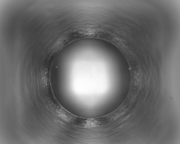 X0000059830612200510211215