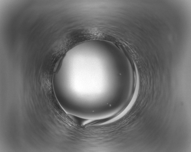 X0000059830613200510211215