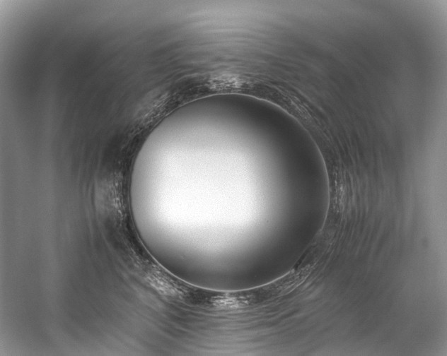 X0000059830616200510211215