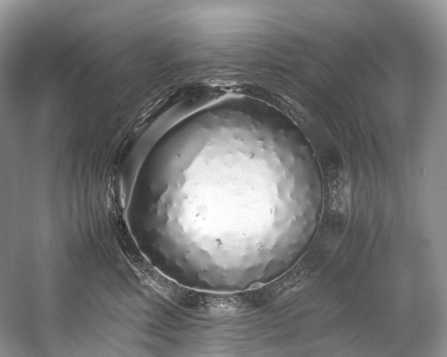 X0000059830618200510211215