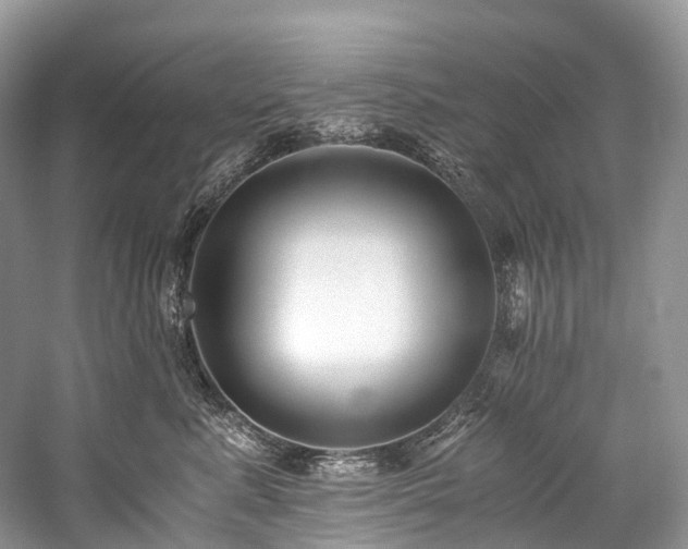 X0000059830619200510211215