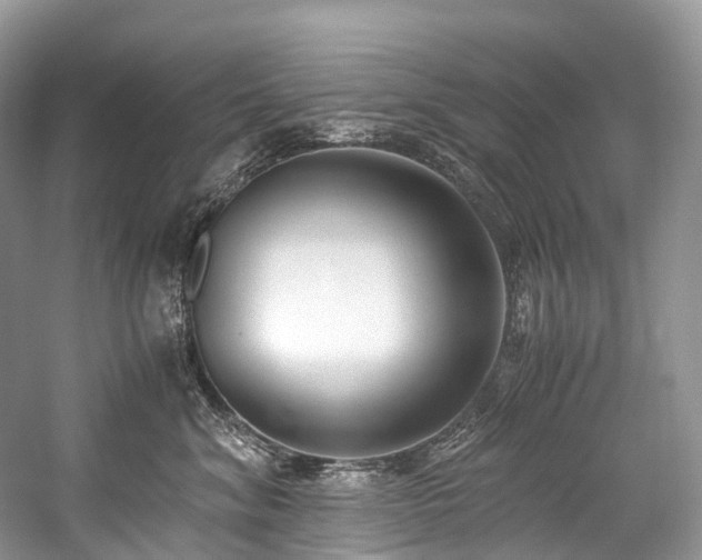 X0000059830620200510211215