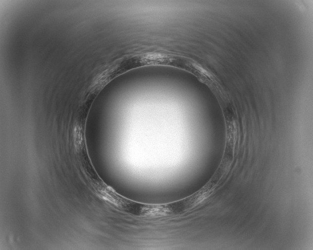 X0000059830621200510211215