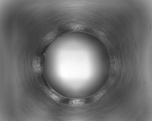 X0000059830622200510211215