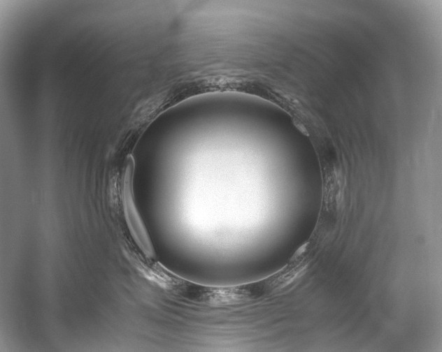 X0000059830623200510211215