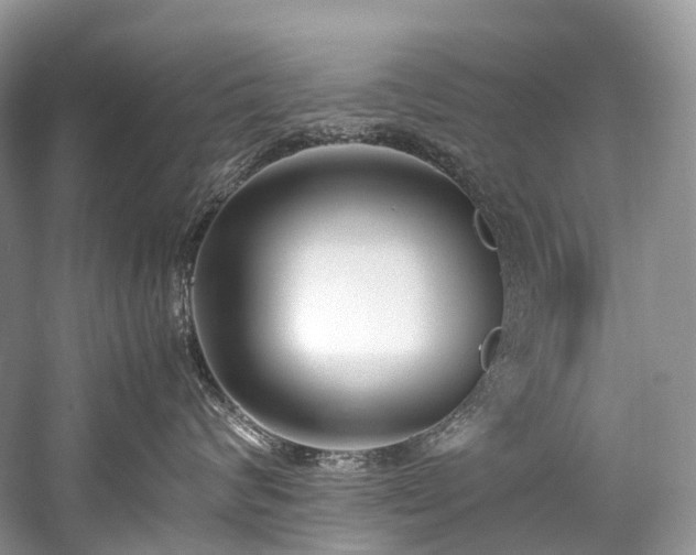 X0000059830624200510211214