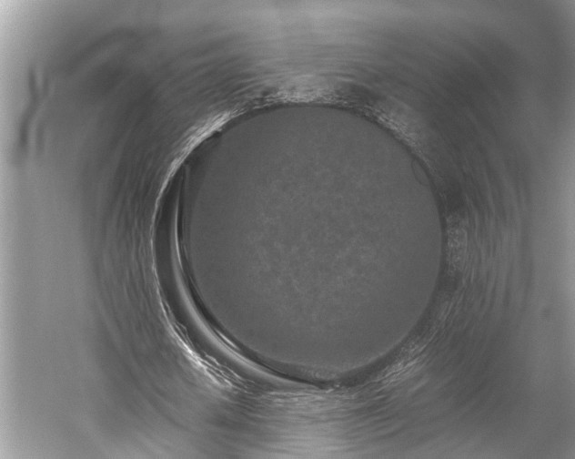 X0000059830626200510211214