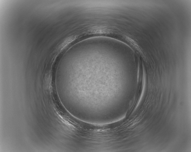 X0000059830627200510211214