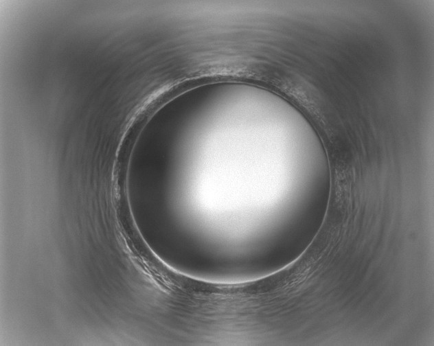 X0000059830628200510211214