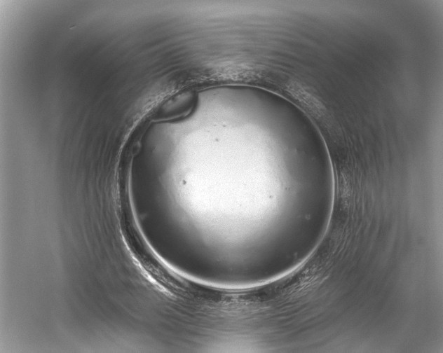 X0000059830630200510211214