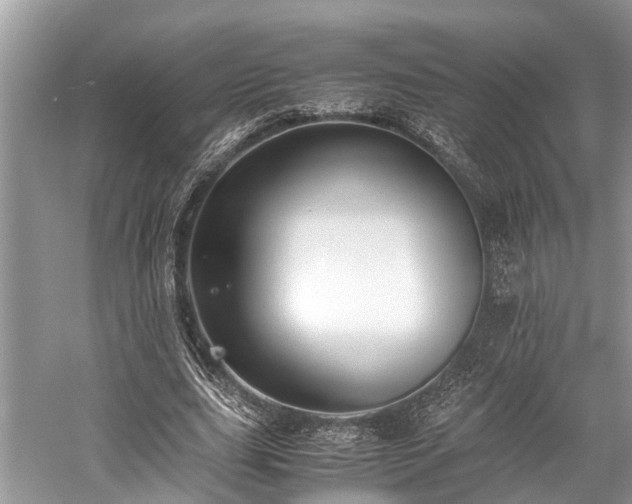 X0000059830631200510211214