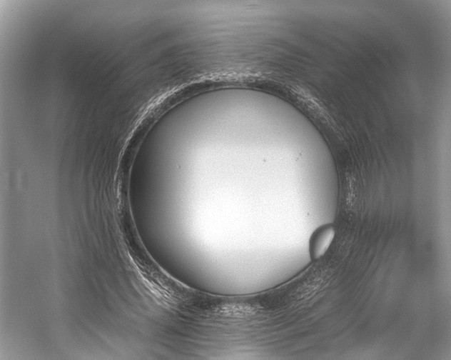 X0000059830636200510211214