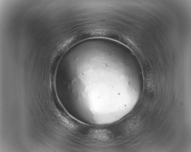 X0000059830637200510211214