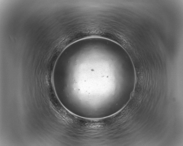 X0000059830643200510211214