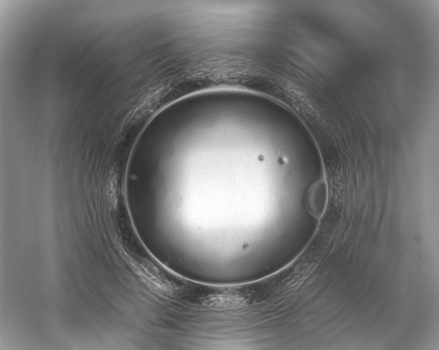 X0000059830644200510211214