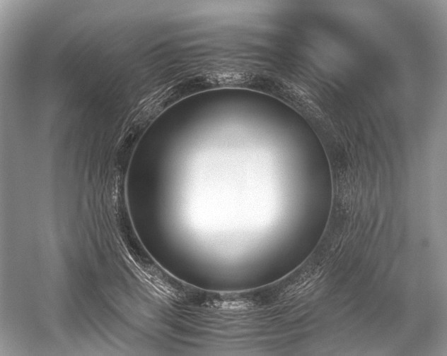 X0000059830645200510211214