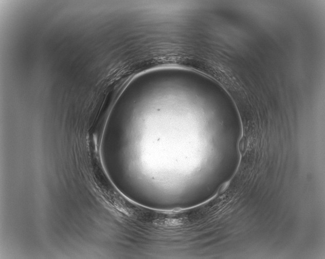 X0000059830647200510211214