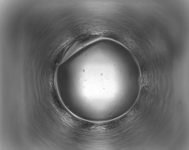 X0000059830648200510211214