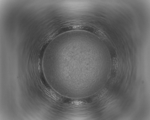 X0000059830650200510211214