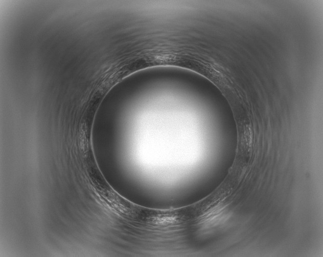 X0000059830651200510211214