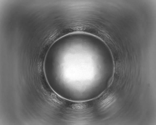 X0000059830652200510211214