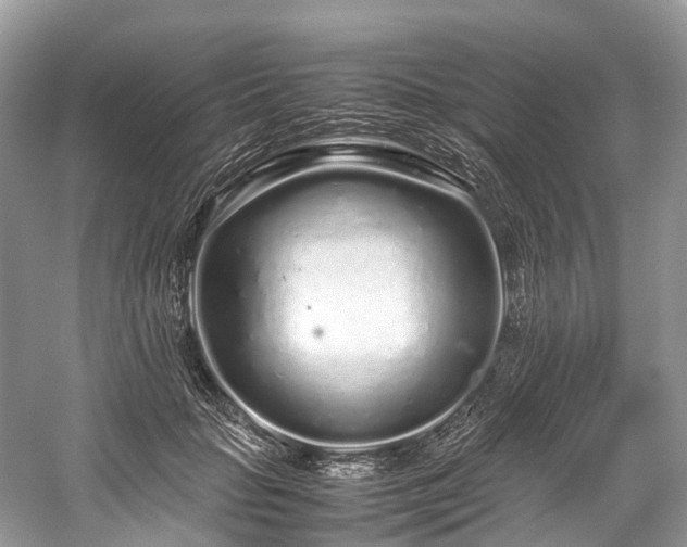 X0000059830653200510211214