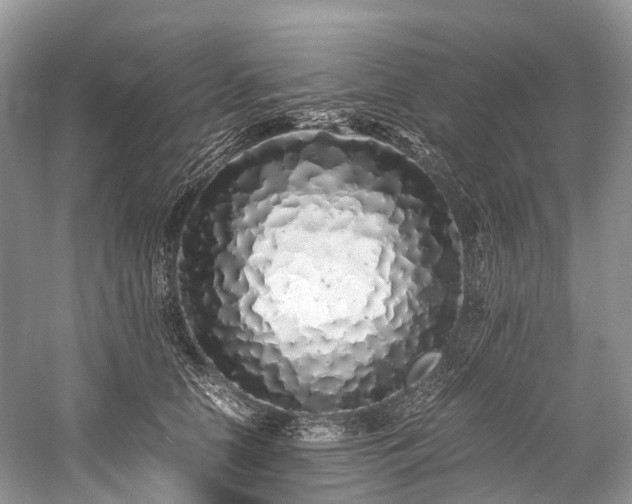 X0000059830658200510211214