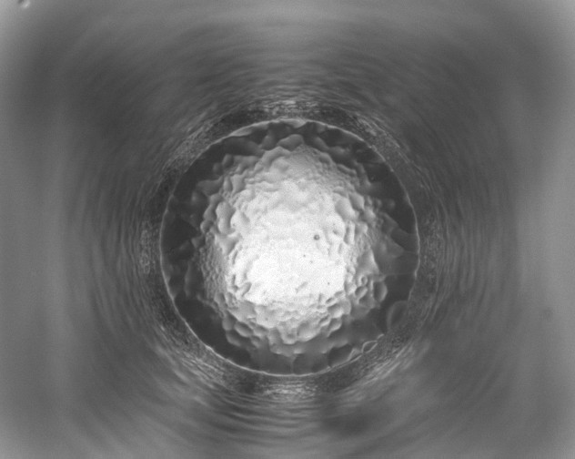 X0000059830659200510211214