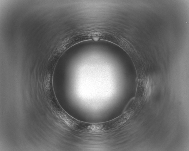 X0000059830660200510211214