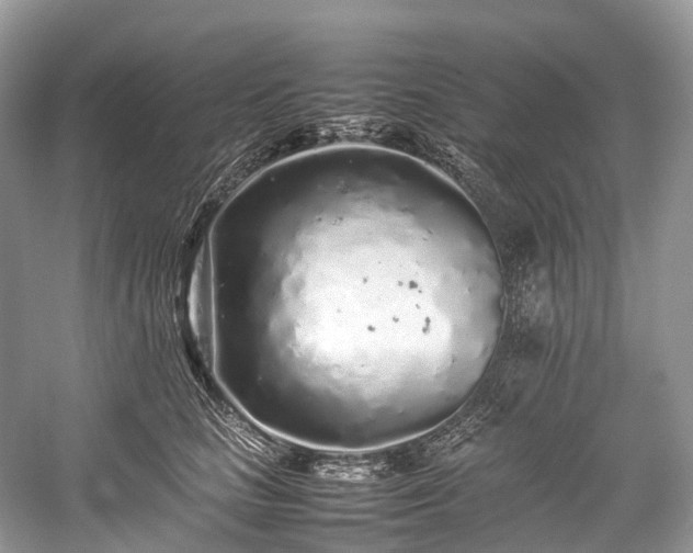 X0000059830661200510211214