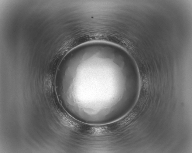 X0000059830662200510211214