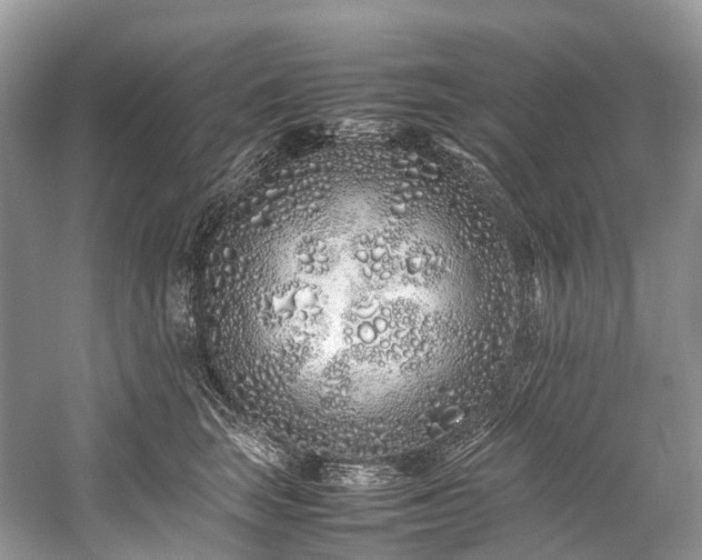 X0000059830663200510211214