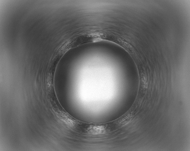 X0000059830665200510211214