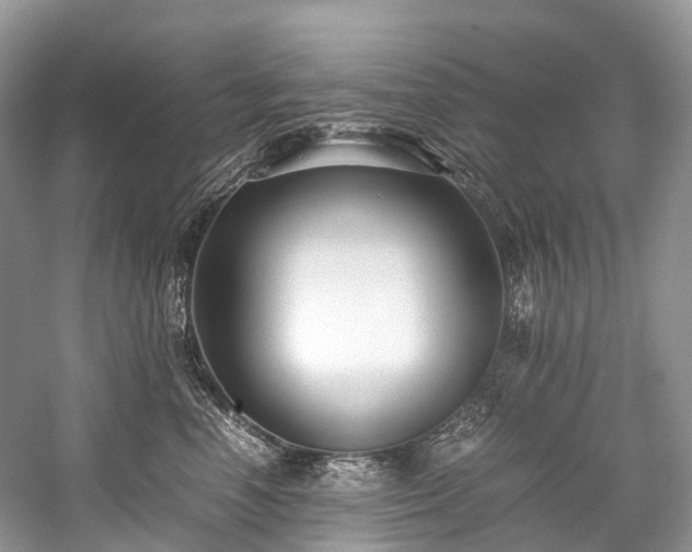 X0000059830666200510211214