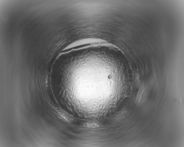 X0000059830668200510211214