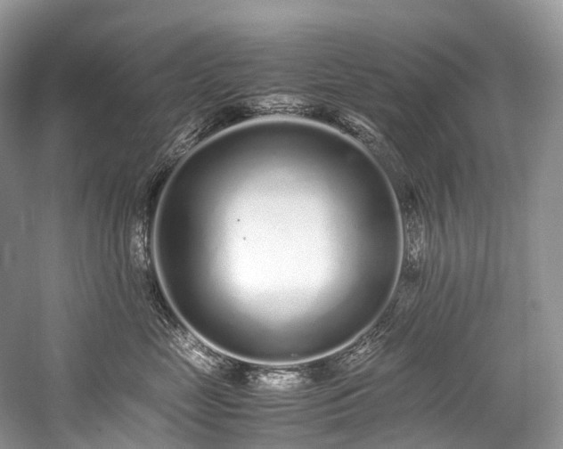 X0000059830669200510211214