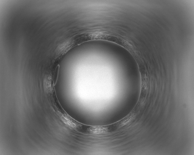 X0000059830670200510211214