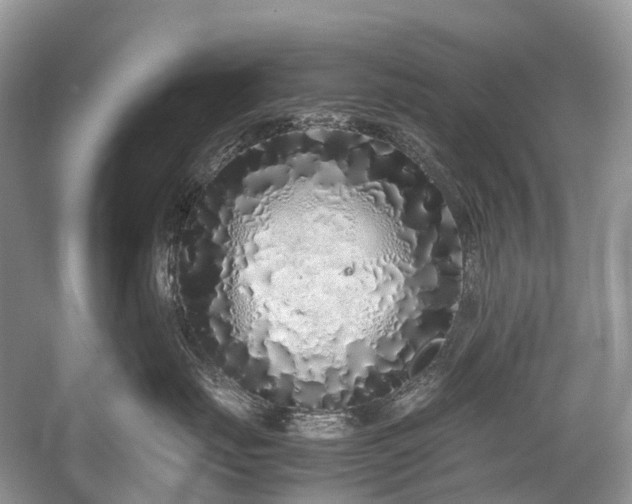 X0000059830671200510211214