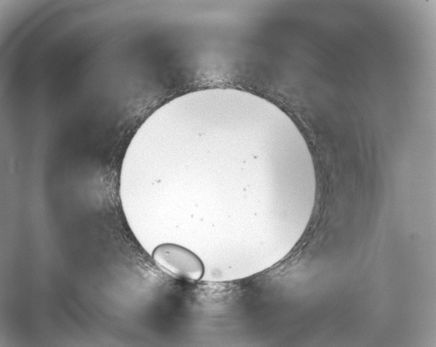 X0000059830672200510211214