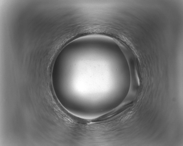 X0000059830673200510211214