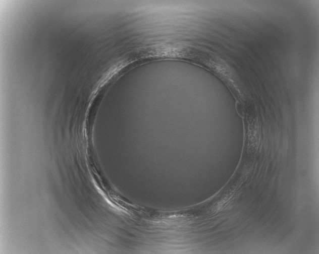 X0000059830674200510211214