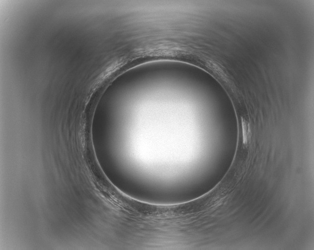 X0000059830675200510211214