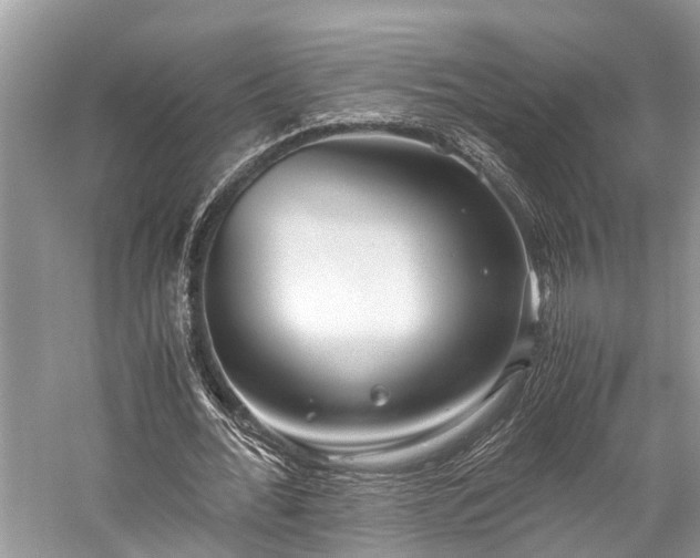 X0000059830676200510211214