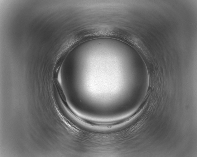 X0000059830677200510211214