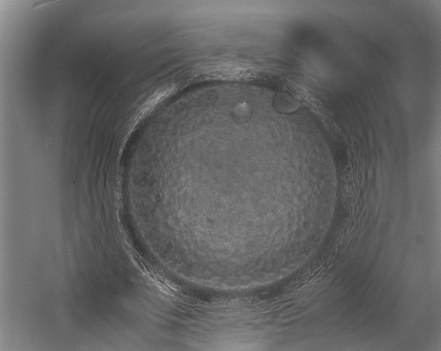 X0000059830679200510211214