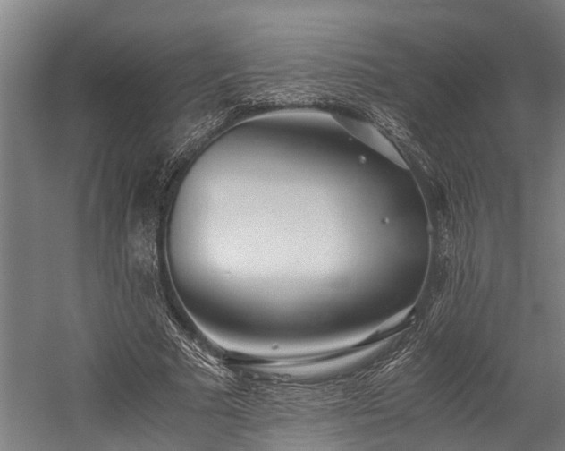 X0000059830681200510211214